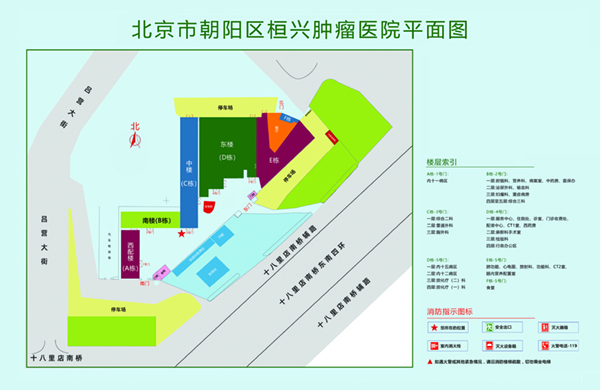 男同扣逼操逼视频网站北京市朝阳区桓兴肿瘤医院平面图